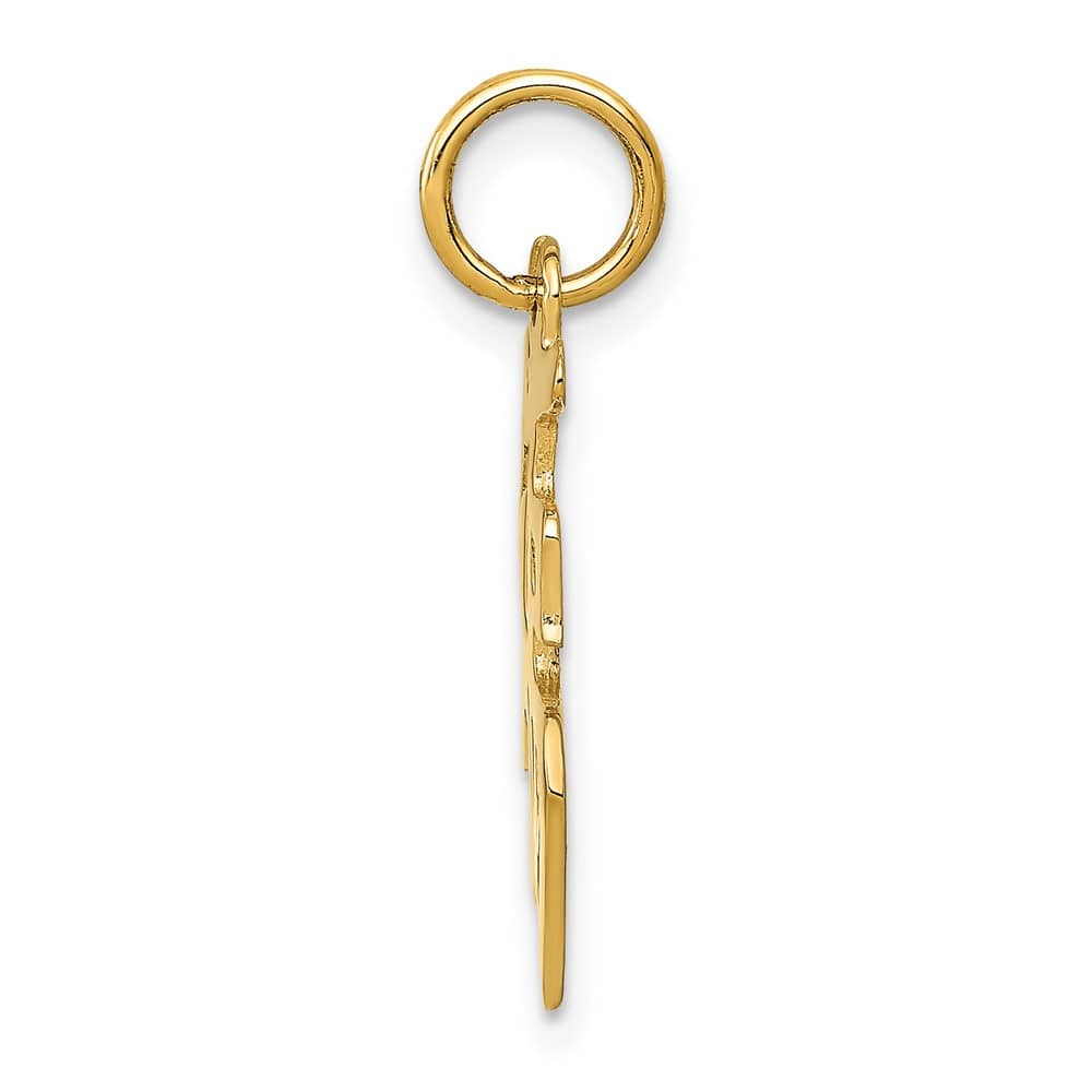 10K Yellow Gold Solid Polished Medium Chinese Symbol Good Luck Charm