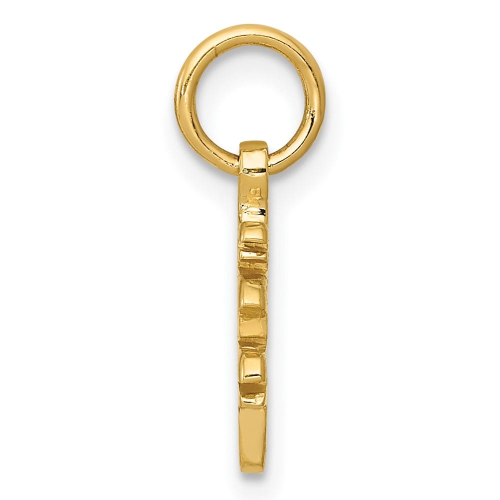10K Yellow Gold Solid Polished Medium Chinese Symbol Long Life Charm