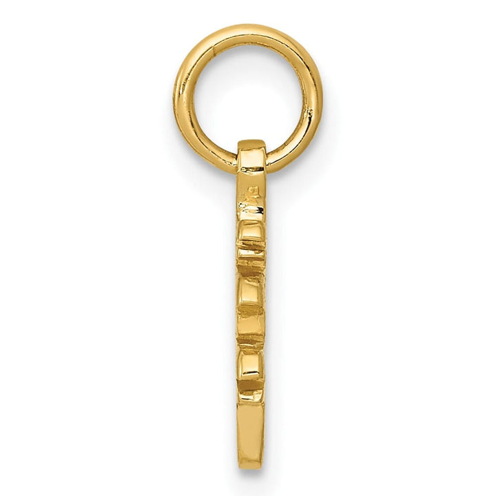 10K Yellow Gold Solid Polished Medium Chinese Symbol Long Life Charm