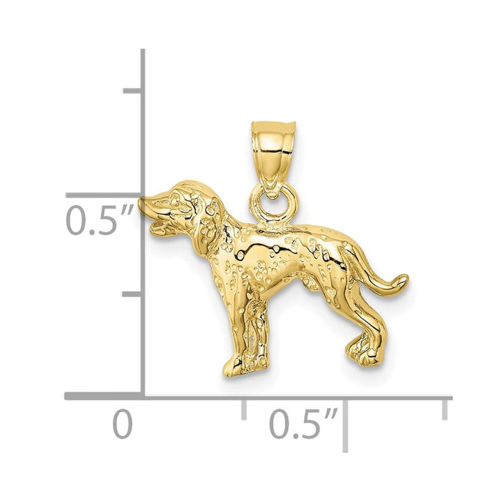 10K Yellow Gold Solid Polished Medium Dalmatian Dog Charm