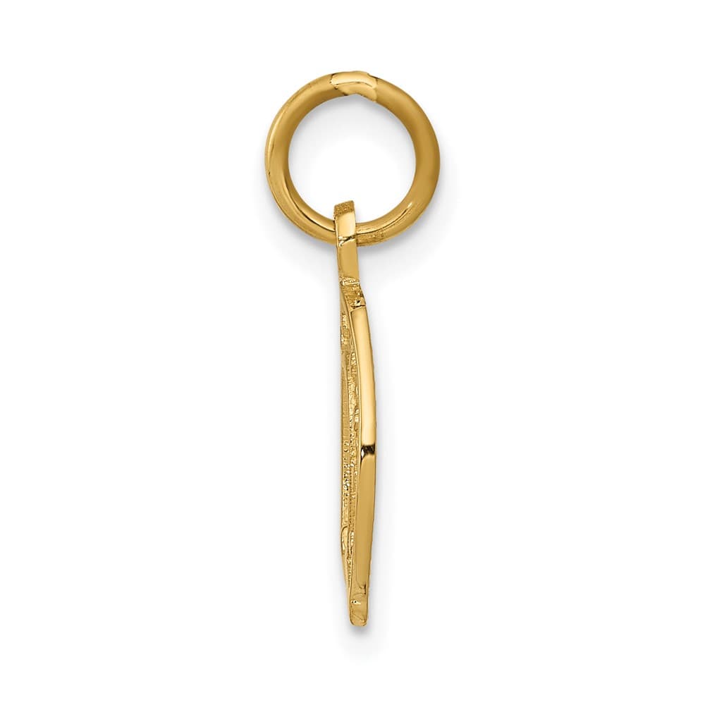 10K Yellow Gold Solid Polished Medium Horseshoe Charm