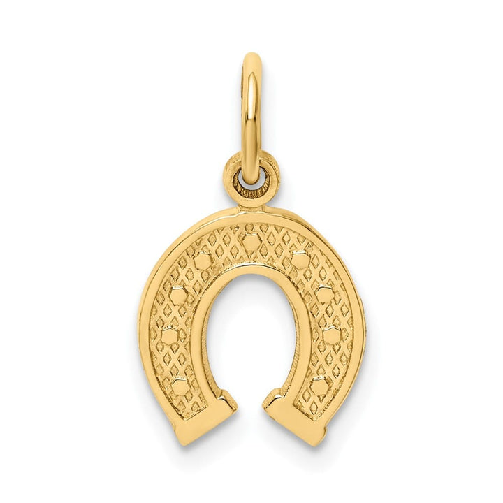 10K Yellow Gold Solid Polished Medium Horseshoe Charm