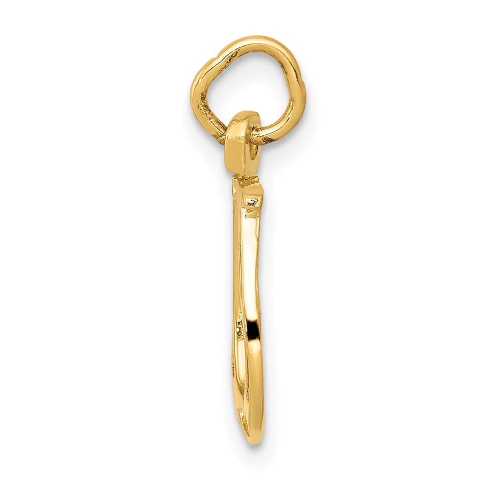 10K Yellow Gold Solid Polished Medium Horseshoe Charm