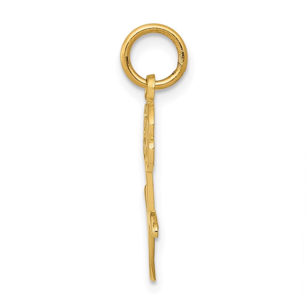 10K Yellow Gold Solid Polished Medium Rose Charm