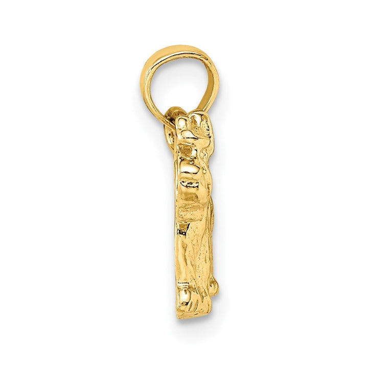 10K Yellow Gold Solid Polished Medium Schnauzer Dog Pendant