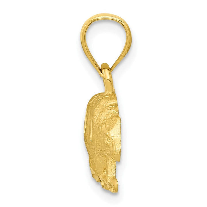 10K Yellow Gold Solid Polished Satin D.C. Medium Bear Pendant