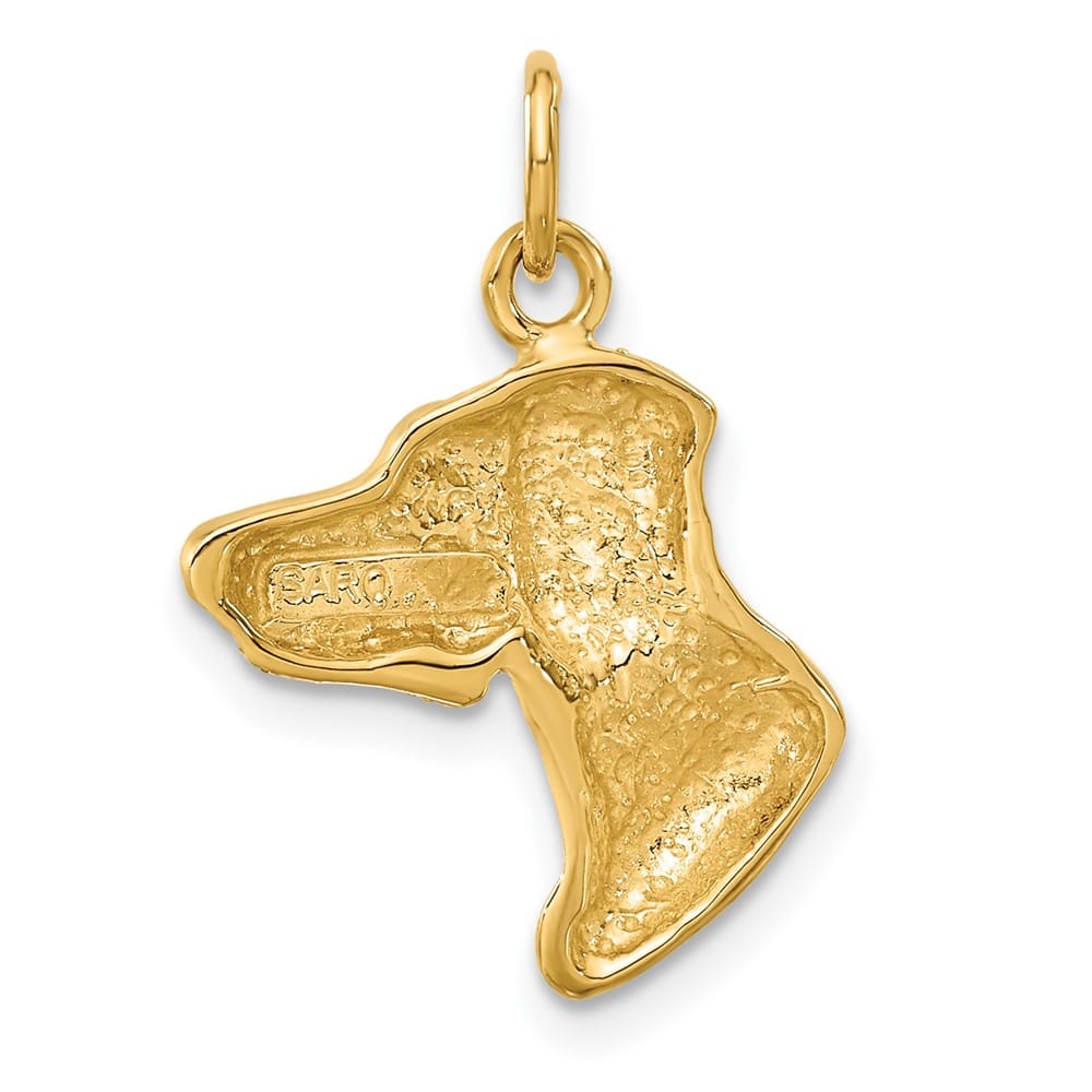 10K Yellow Gold Solid Polished Satin D.C. Medium Dog Head Charm
