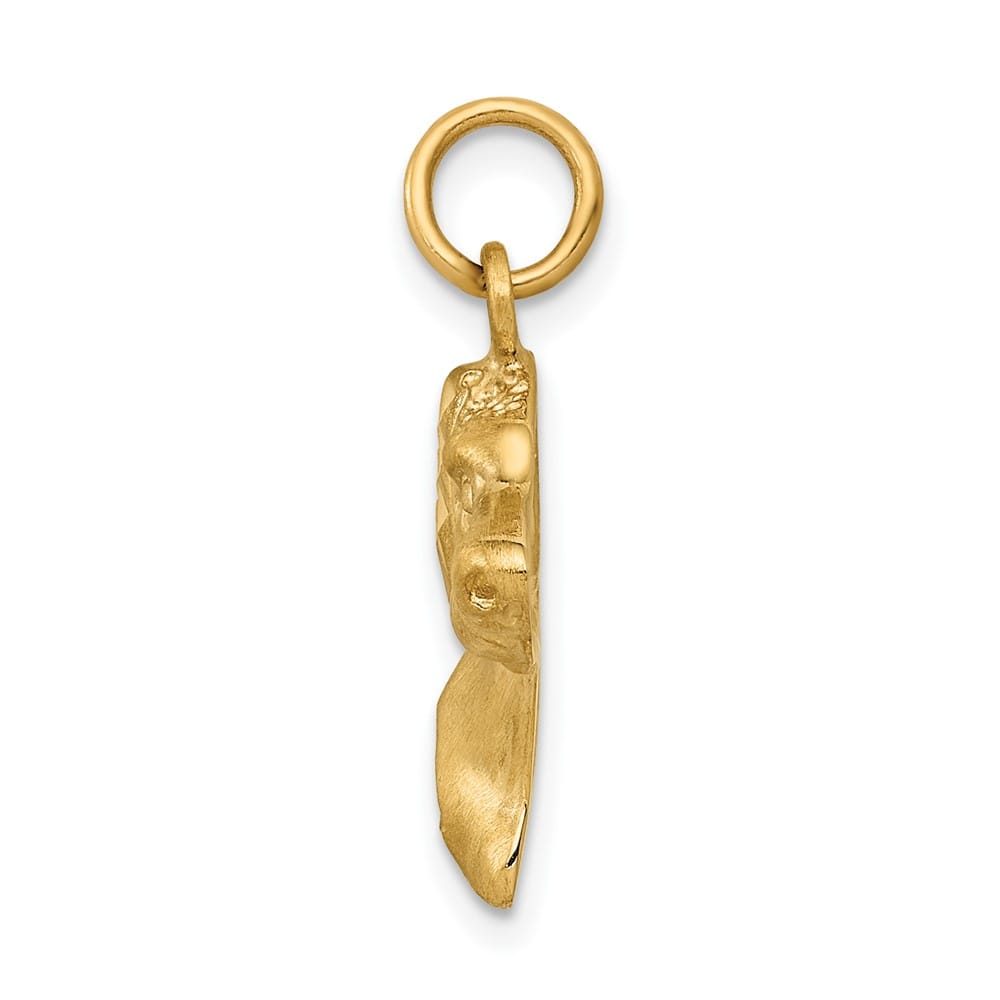 10K Yellow Gold Solid Polished Satin D.C. Medium Dog Head Charm