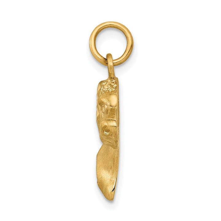 10K Yellow Gold Solid Polished Satin D.C. Medium Dog Head Charm