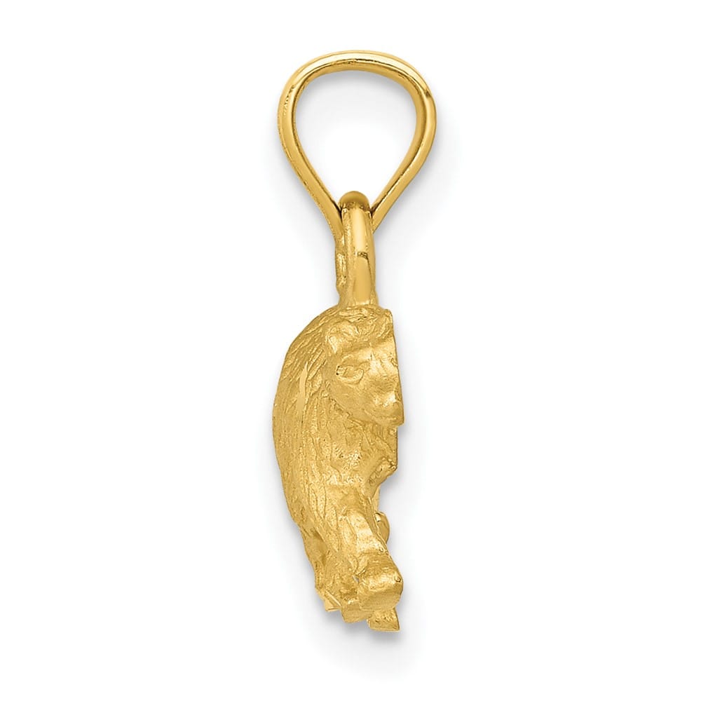 10K Yellow Gold Solid Polished Satin D.C. Small Bear Pendant