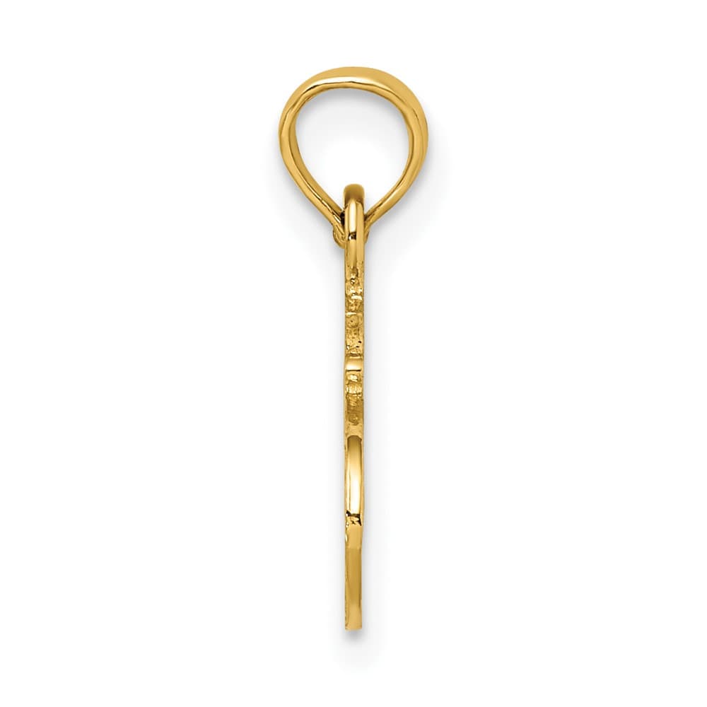 10K Yellow Gold Solid Polished Small #1 Auntie Charm