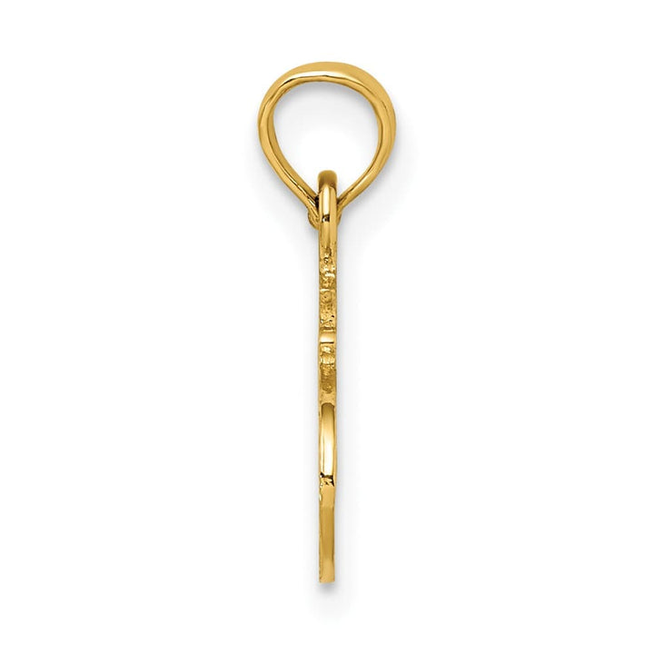 10K Yellow Gold Solid Polished Small #1 Auntie Charm