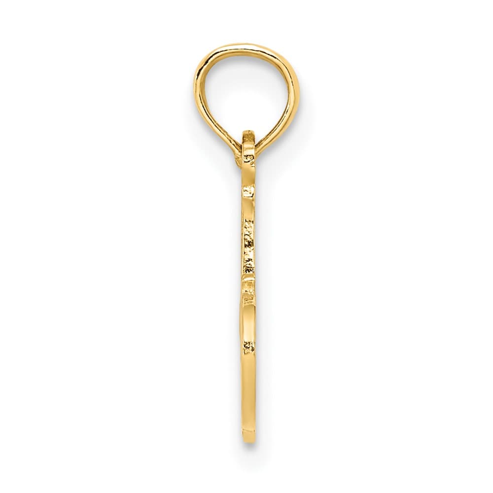 10K Yellow Gold Solid Polished Small #1 Niece Charm