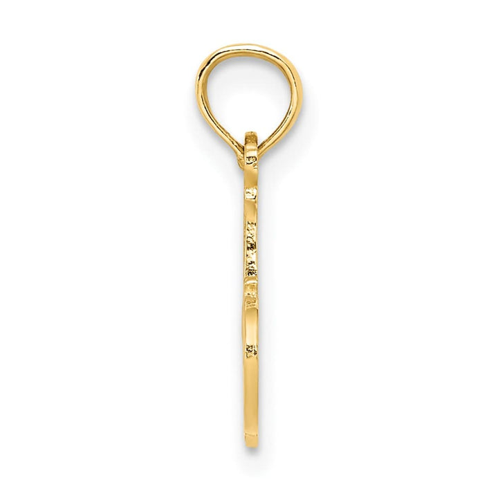 10K Yellow Gold Solid Polished Small #1 Niece Charm