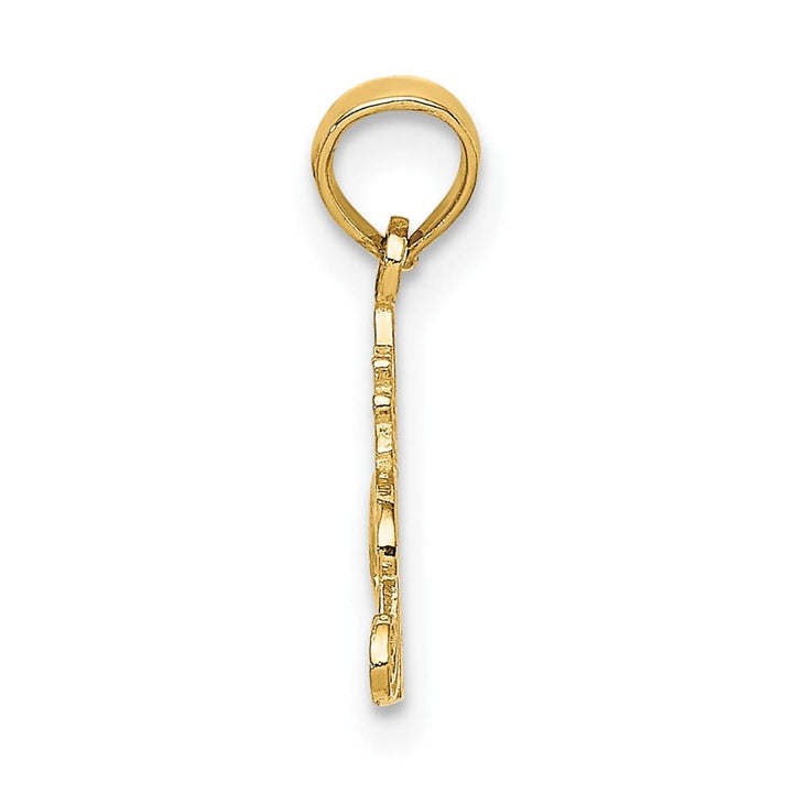 10K Yellow Gold Solid Polished Small #1 Princess Charm