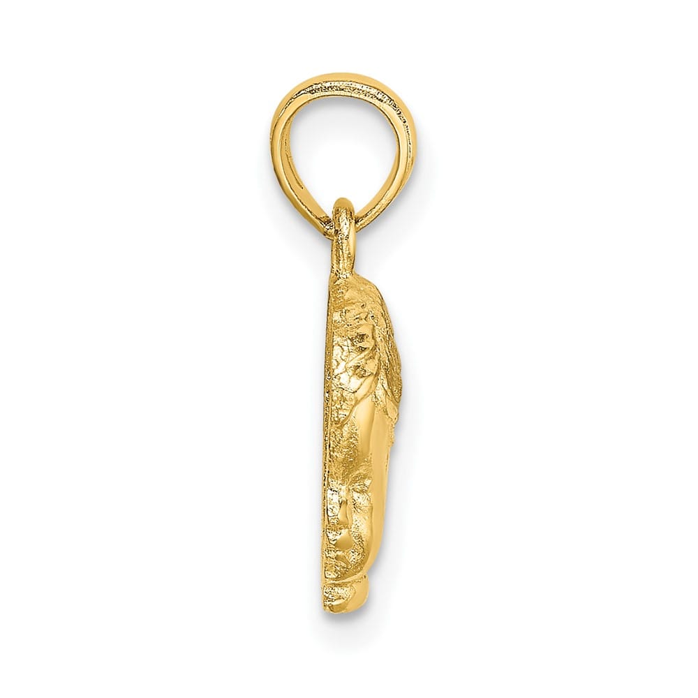 10K Yellow Gold Solid Polished Small Boy Head Charm