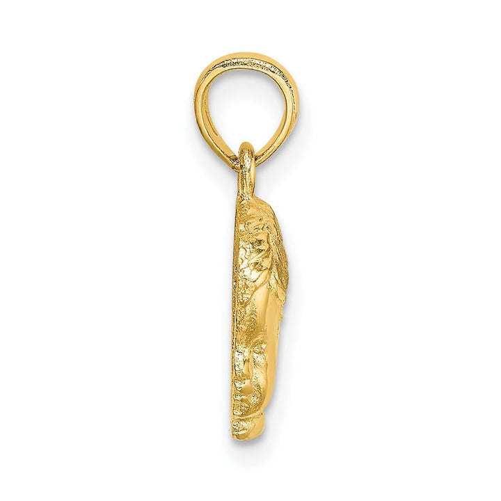 10K Yellow Gold Solid Polished Small Boy Head Charm
