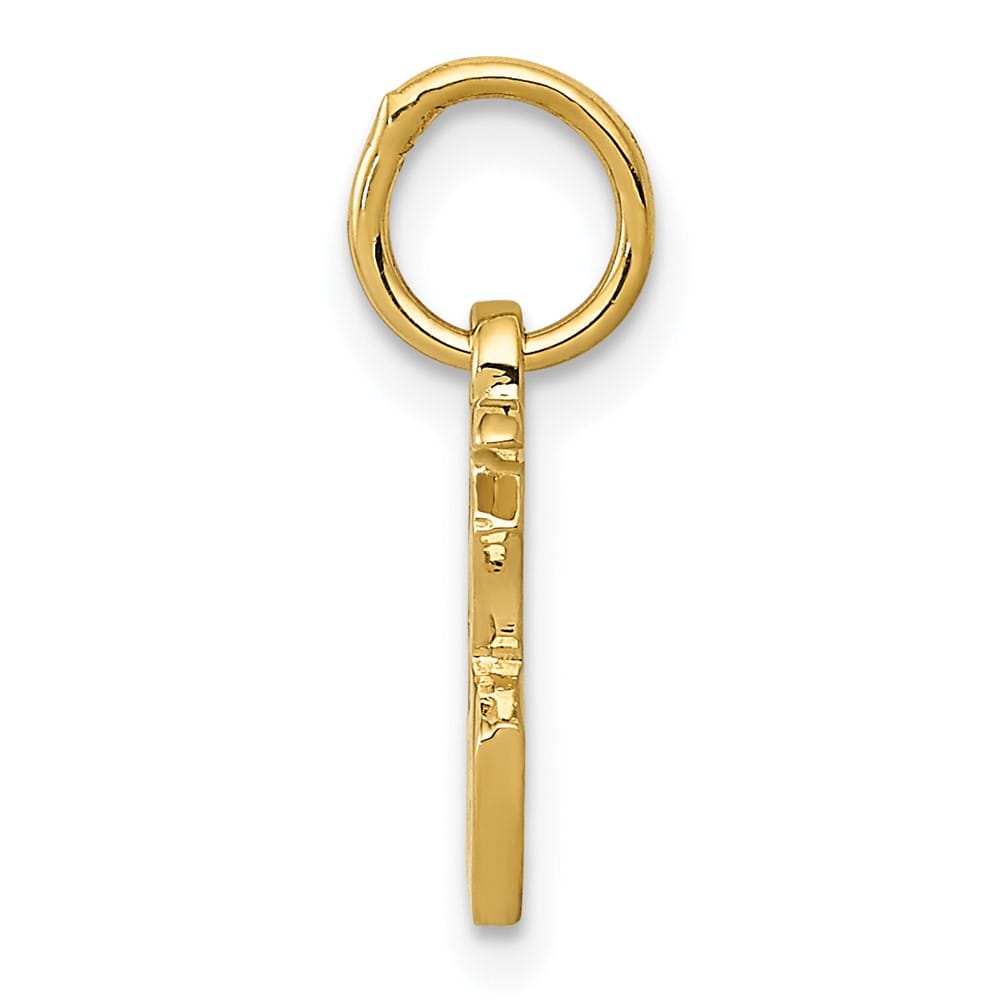 10K Yellow Gold Solid Polished Small Chinese Symbol Good Luck Charm