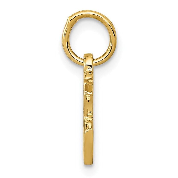 10K Yellow Gold Solid Polished Small Chinese Symbol Good Luck Charm