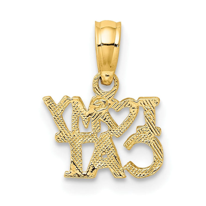 10K Yellow Gold Solid Polished Small I Heart My Cat Charm