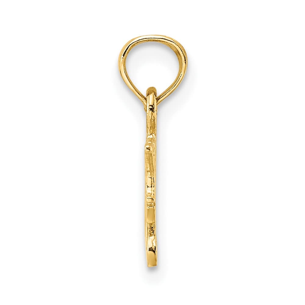 10K Yellow Gold Solid Polished Small I Heart My Cats Charm