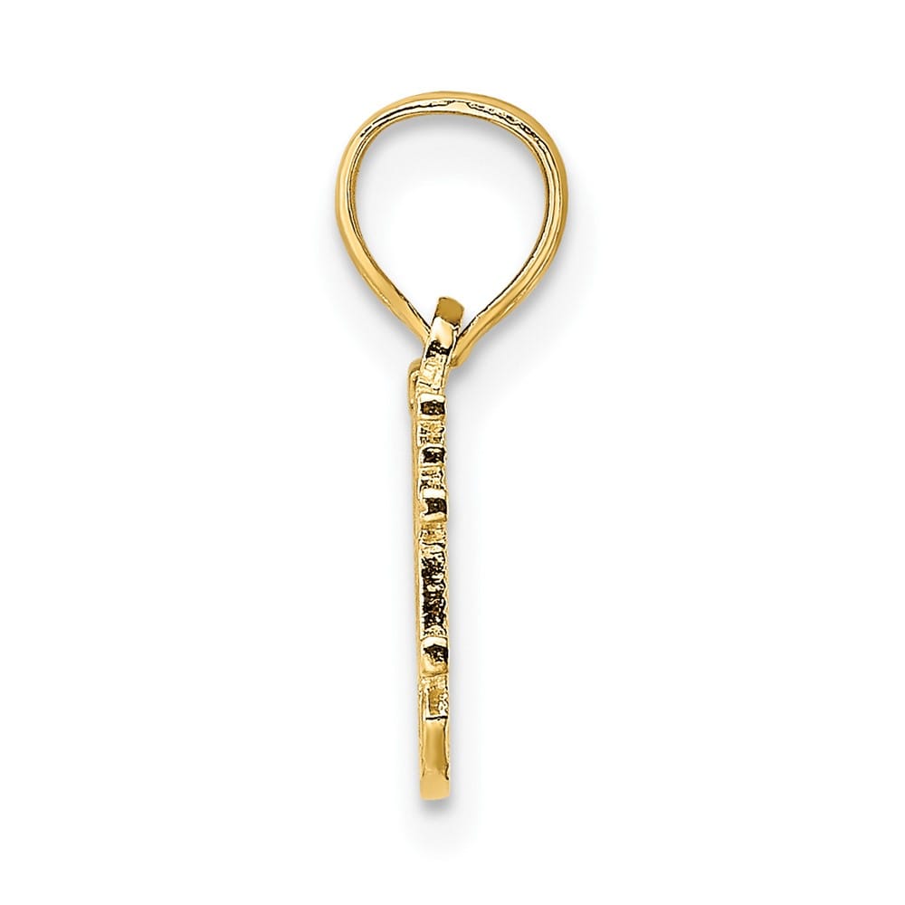 10K Yellow Gold Solid Polished Small Someone Special Charm