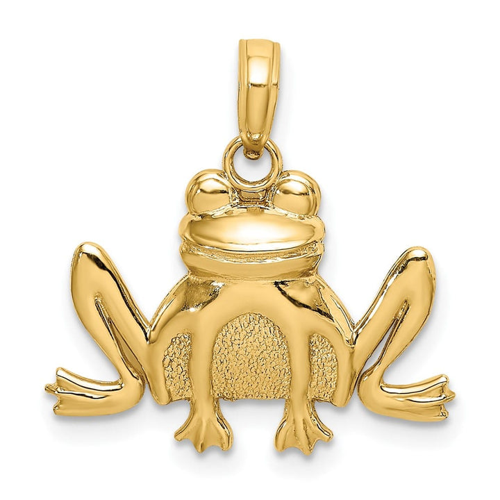 10K Yellow Gold Solid Polished Textured Medium Sitting Frog Charm