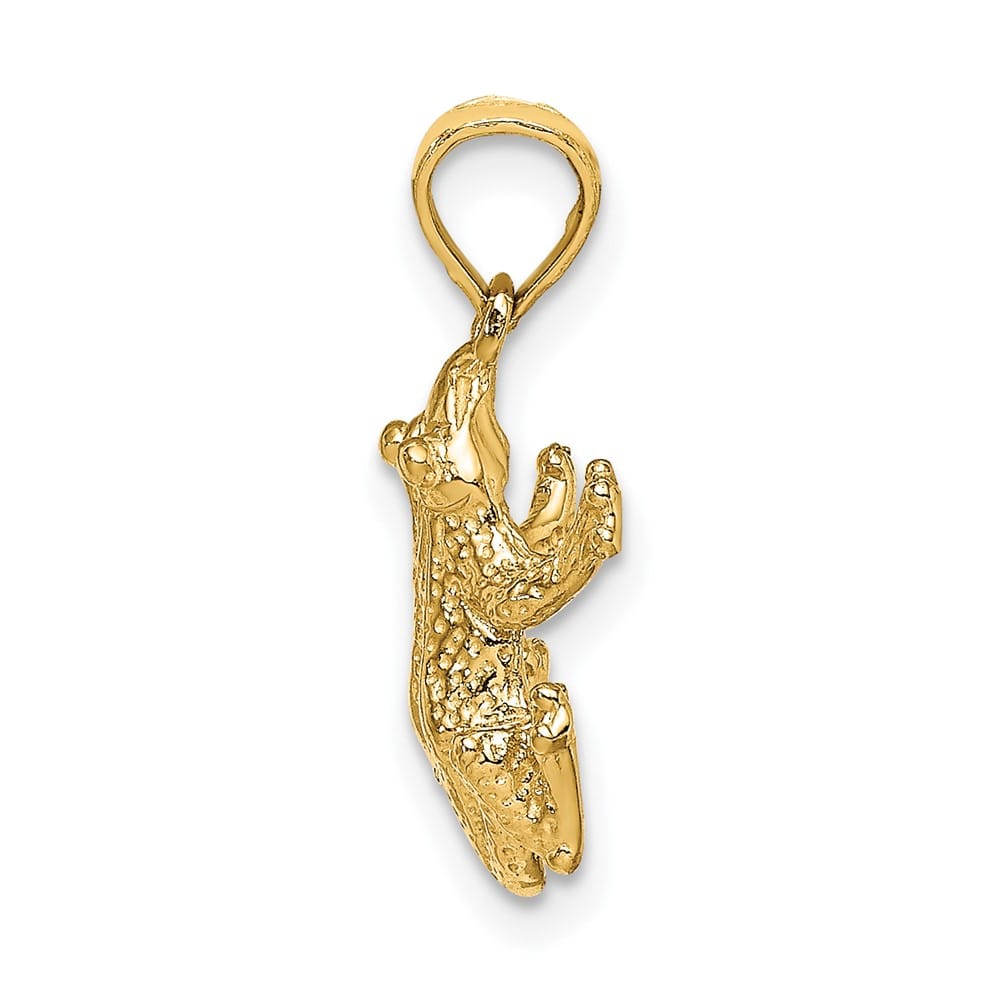 10K Yellow Gold Solid Polished Textured Medium Top View Frog Charm