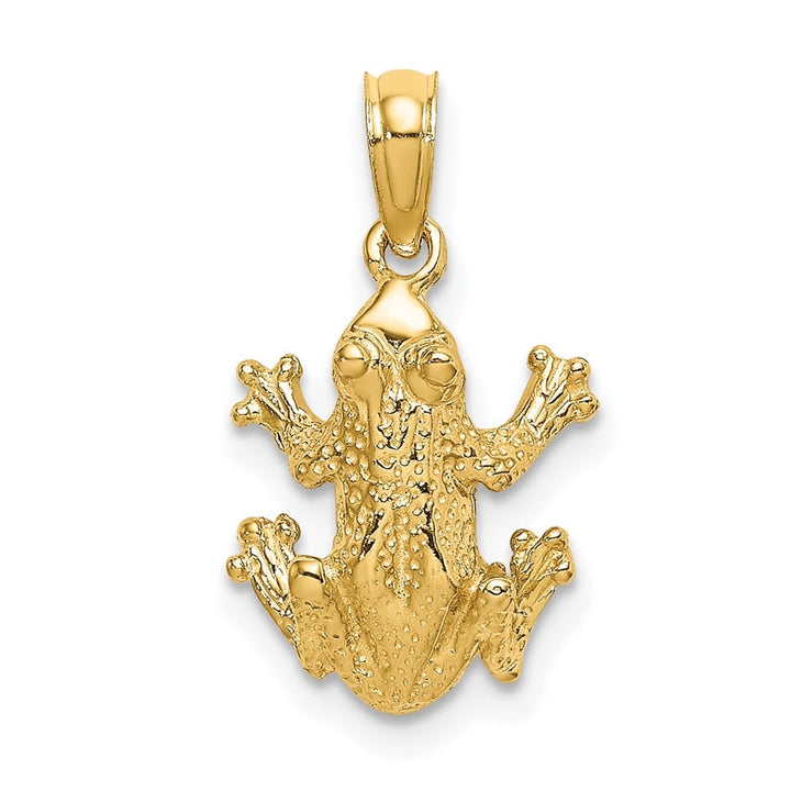 10K Yellow Gold Solid Polished Textured Medium Top View Frog Charm