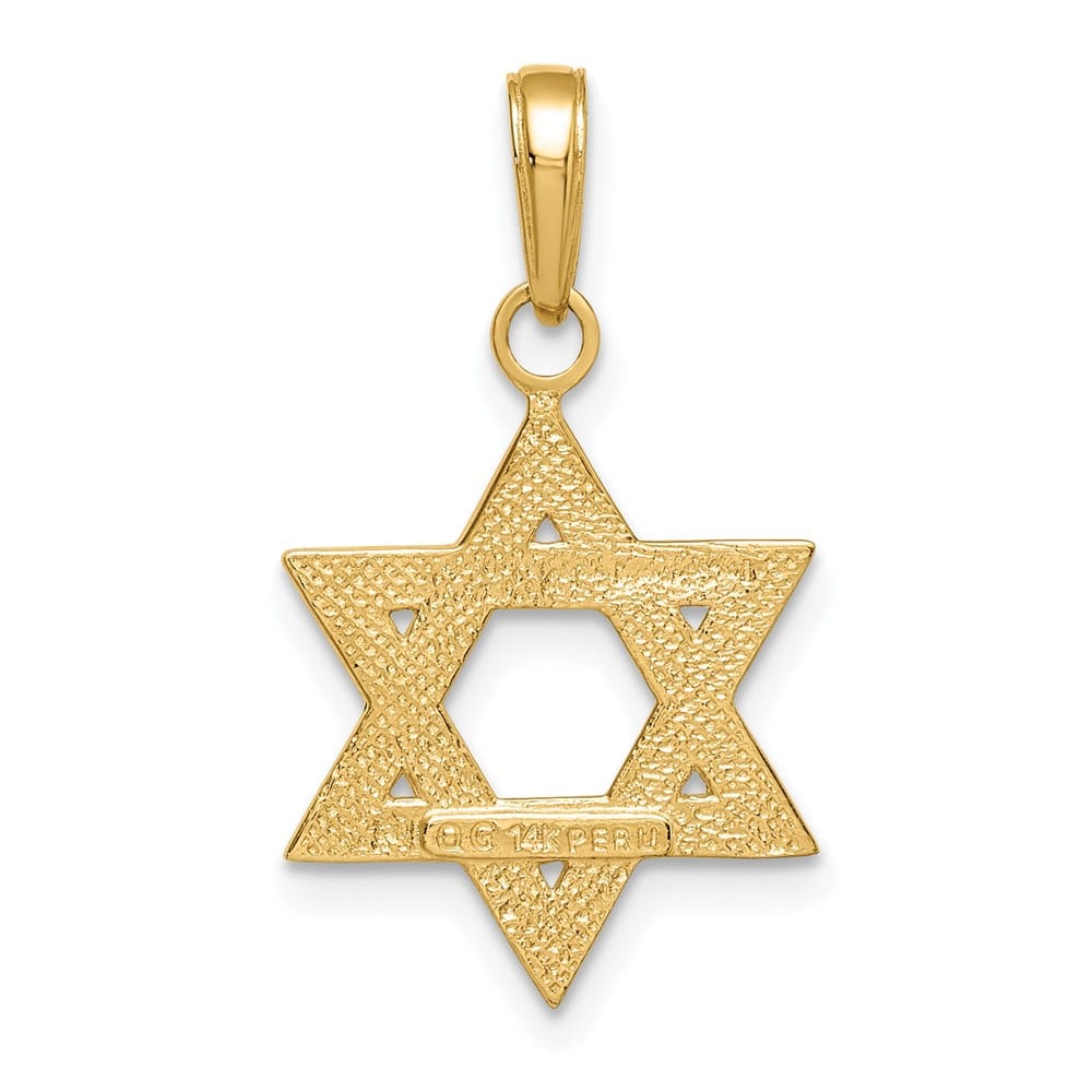 10K Yellow Gold Solid Satin Star of David Charm
