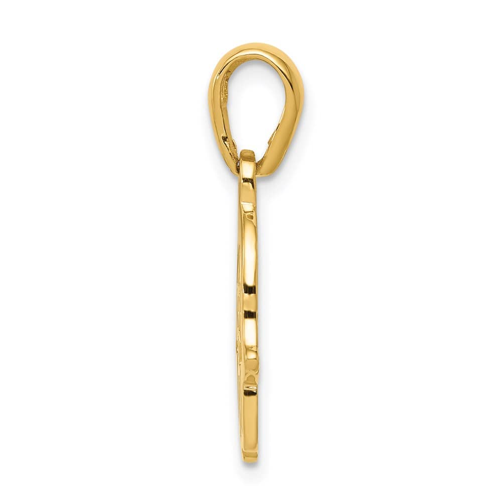 10K Yellow Gold Star of David Chamseh Pendant