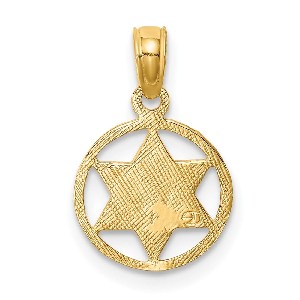 10K Yellow Gold Star of David in Circle Frame Pendant