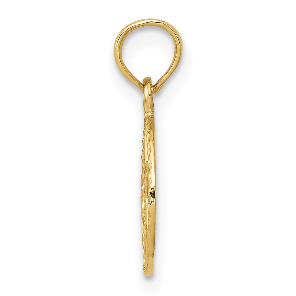10K Yellow Gold Star of David in Circle Frame Pendant