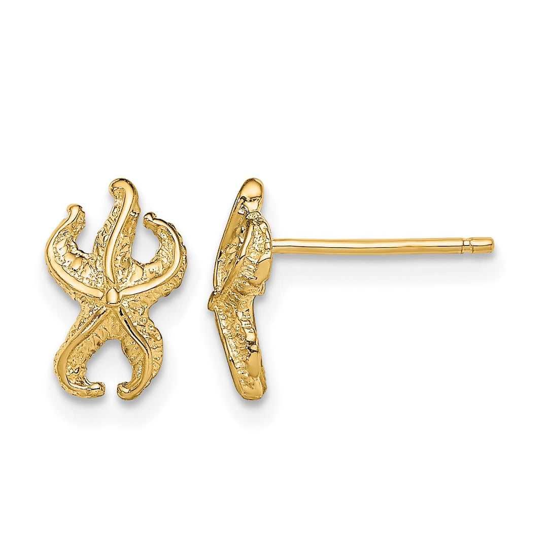10k Yellow Gold Starfish Post Earrings, 10.63mm