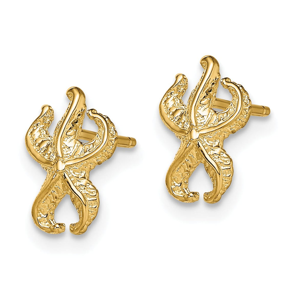 10k Yellow Gold Starfish Post Earrings, 10.63mm