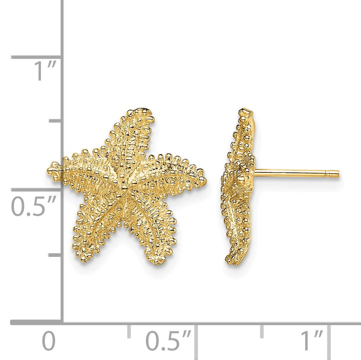 10k Yellow Gold Textured Beaded Starfish Post Earrings