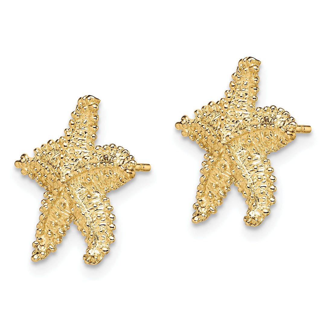 10k Yellow Gold Textured Beaded Starfish Post Earrings