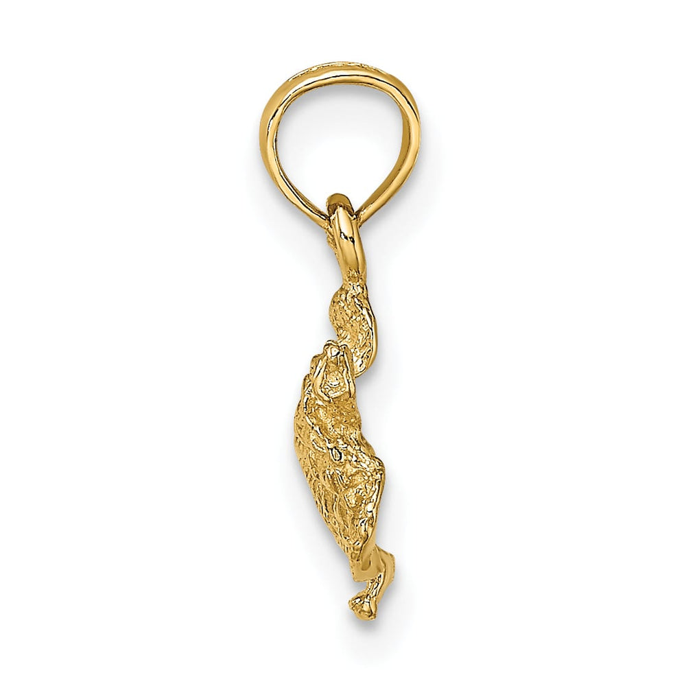 10K Yellow Gold Textured Sea Turtle Charm, 14.95mm