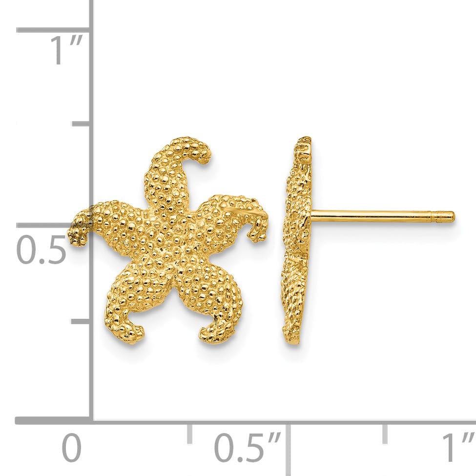 10k Yellow Gold Textured Starfish Post Earrings, 13.58mm