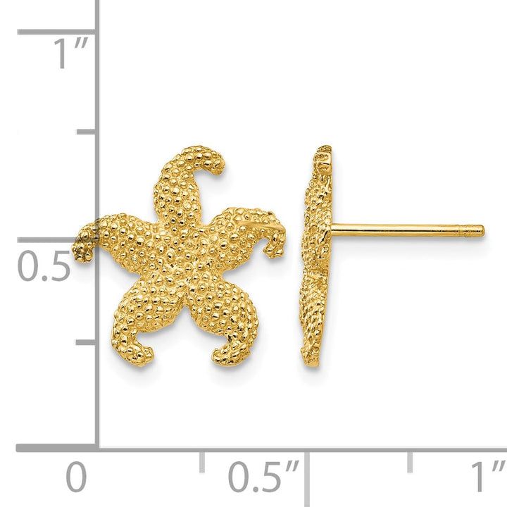 10k Yellow Gold Textured Starfish Post Earrings, 13.58mm