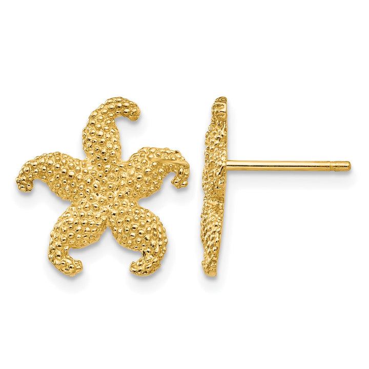 10k Yellow Gold Textured Starfish Post Earrings, 13.58mm