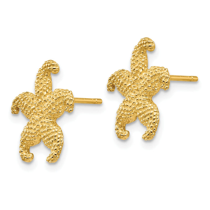 10k Yellow Gold Textured Starfish Post Earrings, 13.58mm