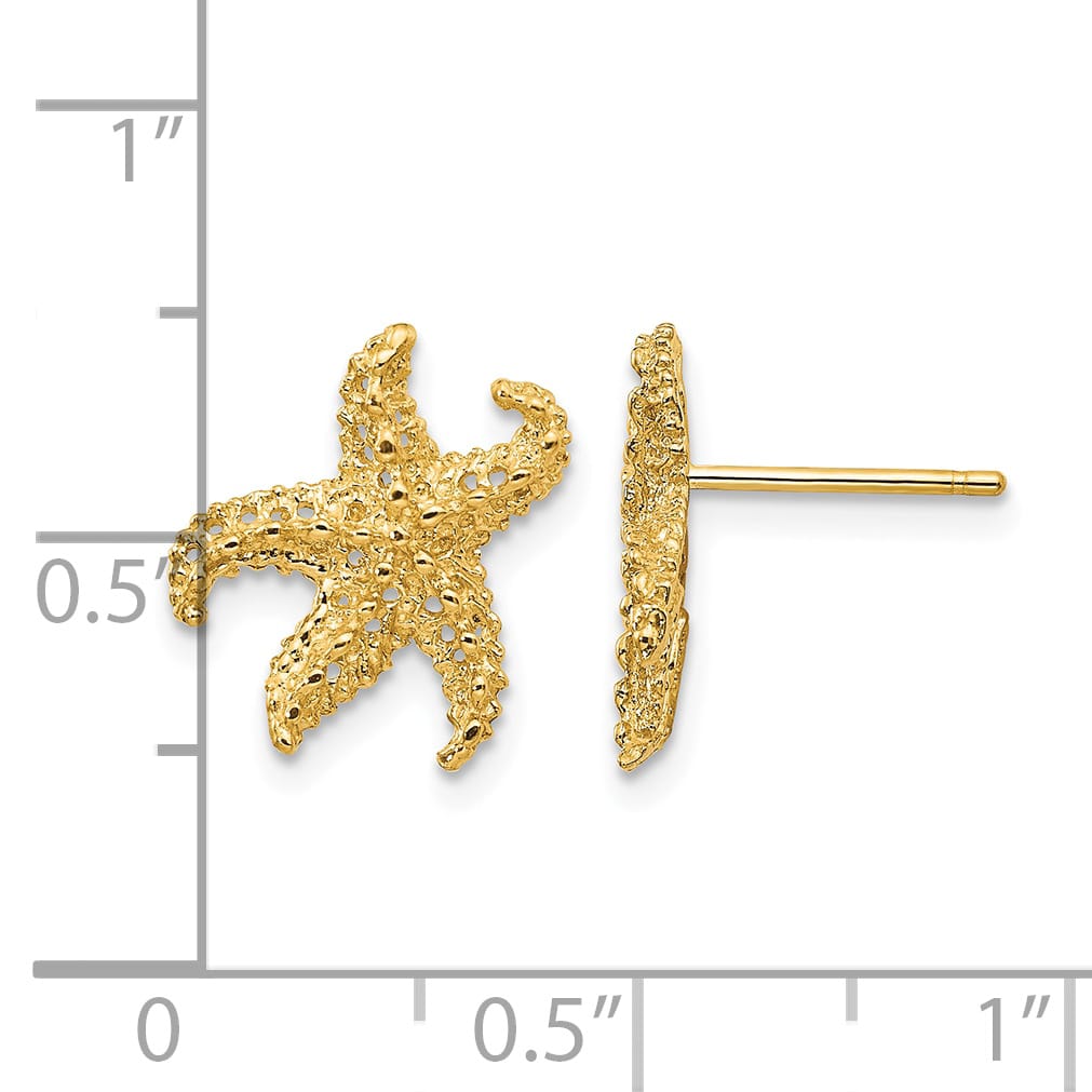 10k Yellow Gold Textured Starfish Post Earrings, 14mm