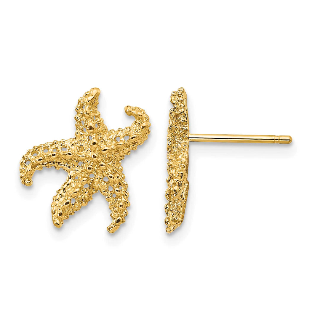 10k Yellow Gold Textured Starfish Post Earrings, 14mm