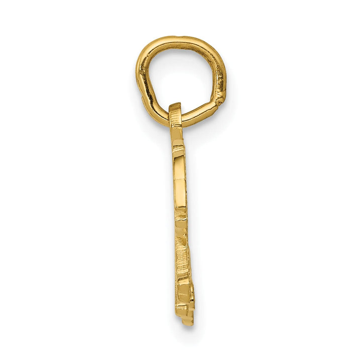 10K Yellow Gold Tiger Charm, Small
