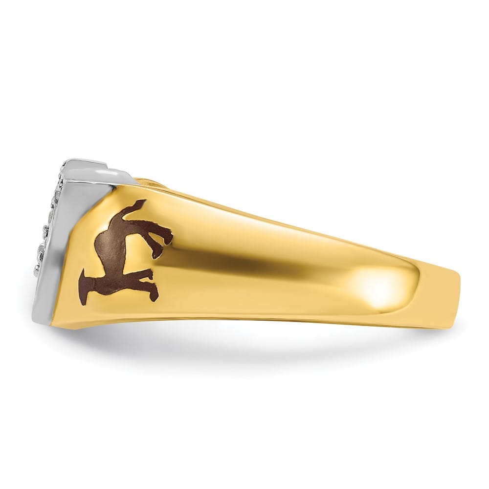 14k Two-Tone Gold 9.6 mm with Multi-Color Enamel and Masonic Ring