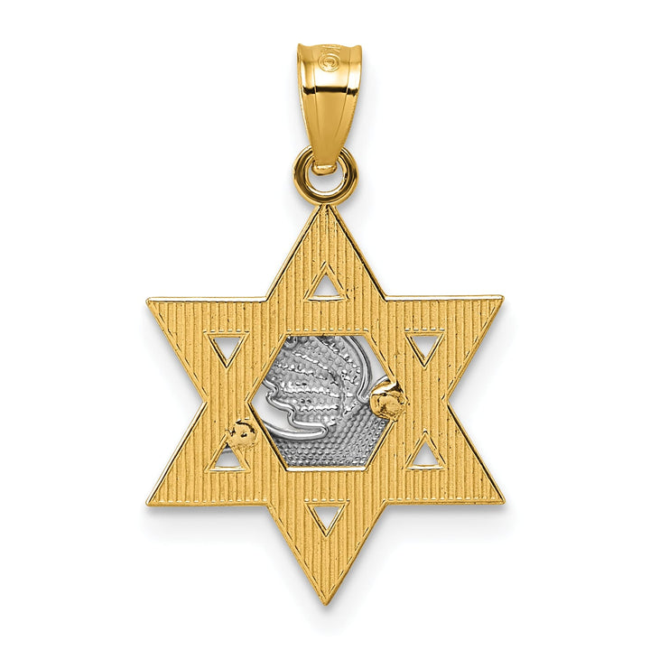 14K Two-Tone Gold Textured Dove On Star Of David Pendant