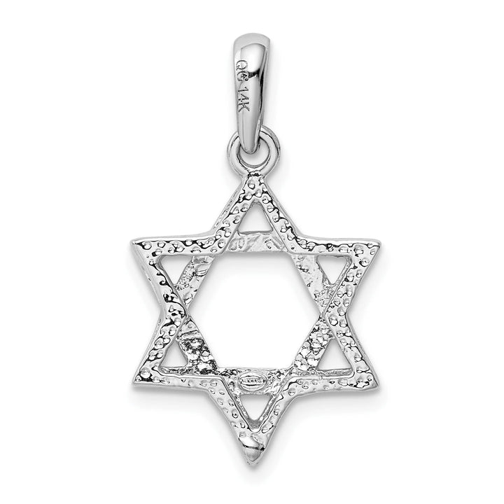 14K White Gold Medium Polished Star Of David Pendant