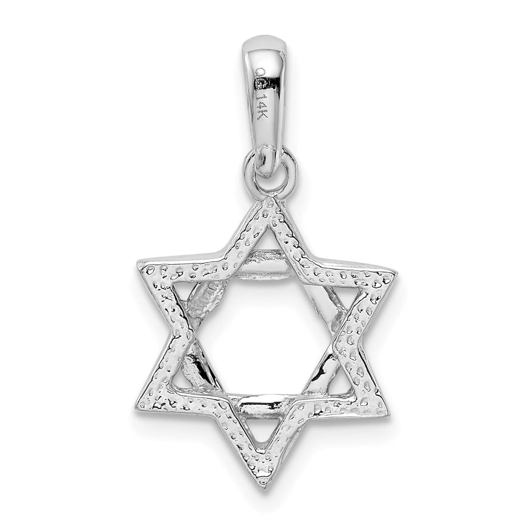 14K White Gold Medium Solid Star Of David Pendant