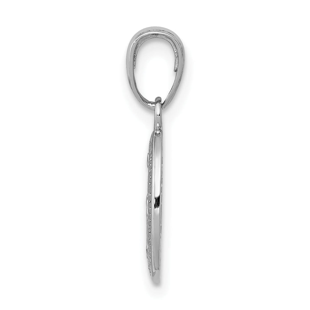 14K White Gold Polished Satin Solid Miraculous Medal Oval Charm